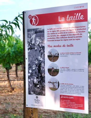 Moulin_de_Lene_Oenotourisme_balade_pedagogique