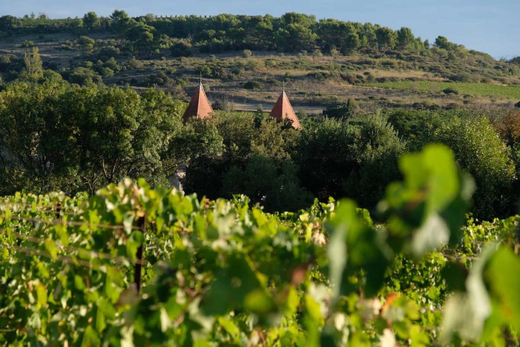 vigne_chateau_moulin_de_lene