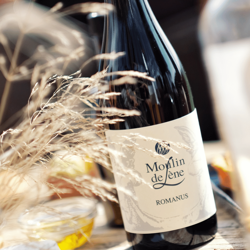ROMANUS_MOULIN DE LENE